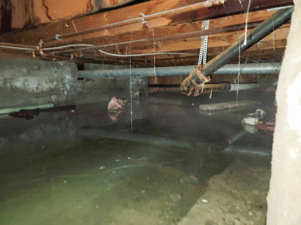 Best Professional water damage repair  in Fairmount, IN