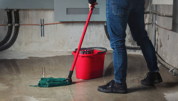 Best Water damage cleanup near me  in Fairmount, IN