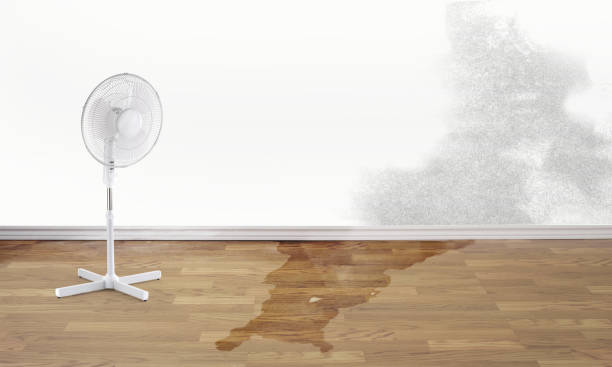 Best Sewage cleanup and water damage restoration  in Fairmount, IN