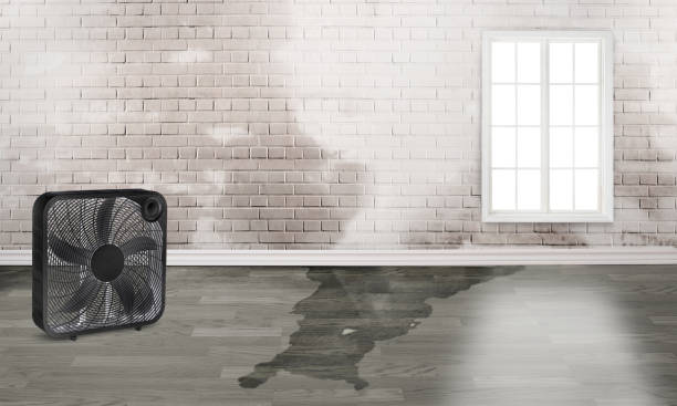Best Flood restoration services  in Fairmount, IN