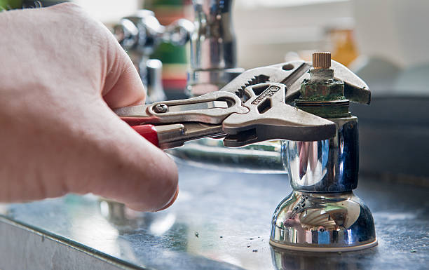 Best Mold removal after water damage  in Fairmount, IN