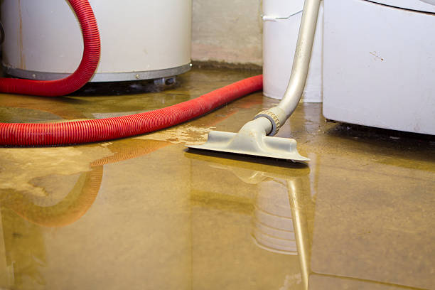  Fairmount, IN Water damage restoration Pros