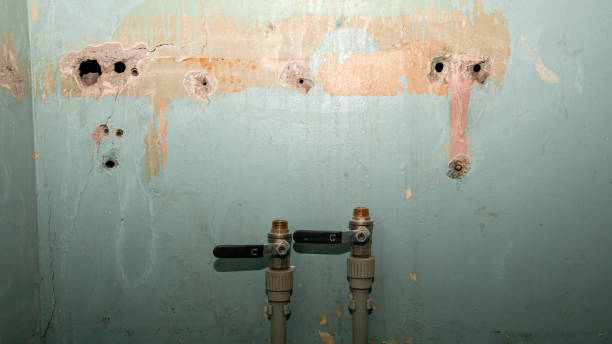 Best Carpet water damage restoration  in Fairmount, IN